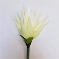thumbnail image 1 of 34" White Cactus Flower Artificial Flowers, 1 of 1