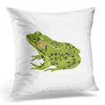 thumbnail image 1 of BOSDECO Black Toad Green Frog Drawing White Amphibian Pillowcase Pillow Cover Cushion Case 16x16 inch, 1 of 1