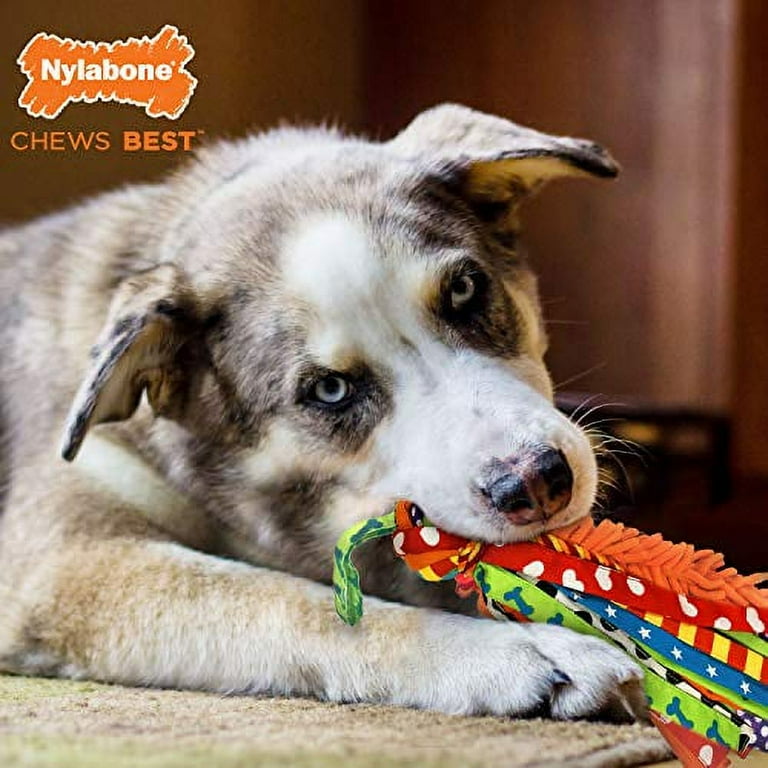 Nylabone top happy moppy