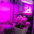 thumbnail image 6 of Luxtrada LED Grow Light Plant Grow Lamp 200LED UV IR Growing Lamp for Indoor Plants Hydroponic Plant with Clip, 6 of 12