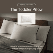 Coop Home Goods Pillow Protector for Kids Pillow (White), 1 Pack