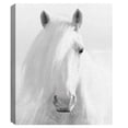 thumbnail image 4 of Masterpiece Art Gallery Natural Blonde Horse by Belle Maison Canvas Photo Art Print 22" x 28", 4 of 4