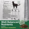 thumbnail image 4 of Nature's Protection Superior Care Dry Cat Food, Adult Dark Coat Cats, High Protein Herring, 3.3lb, 4 of 7