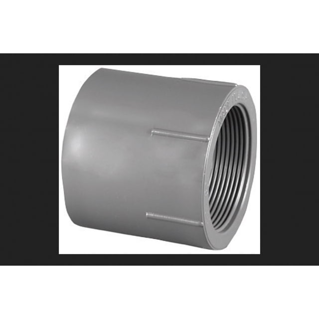 Adaptador Charlotte Pipe 1-1/4 Sch80 SxFpt