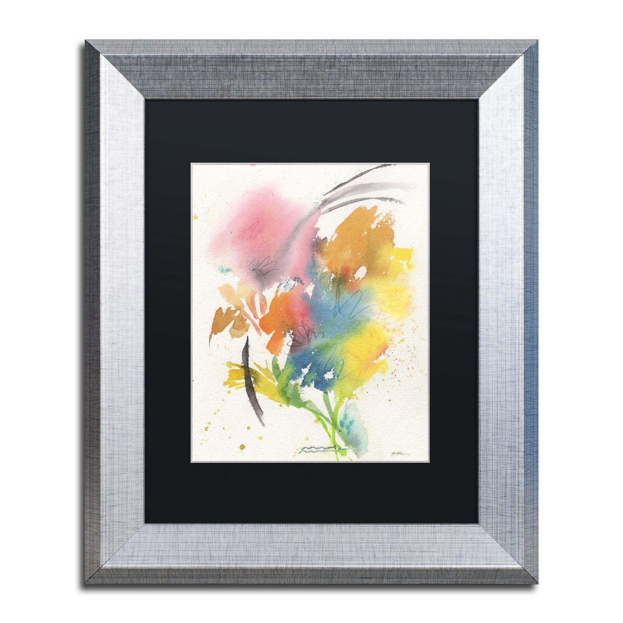 Trademark Fine Art "Rainbow Bouquet" Canvas Art by Sheila Golden, Black Matte, Silver Frame