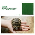 thumbnail image 3 of COOPHYA Turtle Habitat Platform with Turf Grass Green ABS 1Pcs, 3 of 7