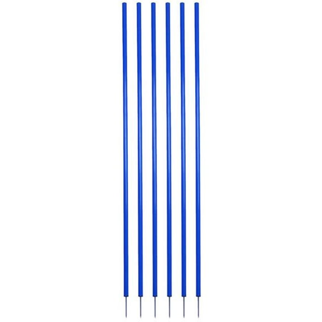Ensemble de Bâtons de Coaching, Bleu Royal - Ensemble de 6