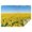 Blue Sky Sunflower, variant on Black White Stripe Sunflower Pattern Rectangle Tablecloth 60"x84",Waterproof Polyester Rectangle Table Cloth, Wipeable Spillproof Polyester Tablecloth for Dining, Camping, Indoor and Outdoor