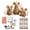 A1, variant on DIY Patchwork Animal Kit Create Your Own Adorable Animals, Cute DIY Patchwork Kit, 3D Cat DIY Sewing Project for Adults, Beginners, Craft Lovers, Home Decor, Gift for Birthdays, Holidays A31