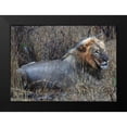 thumbnail image 2 of Underdahl, Dana 18x14 Black Modern Framed Museum Art Print Titled - Resting Lion I, 2 of 5