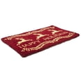 thumbnail image 1 of Entryways Basics 9117W Williamsburg Dash Away All Handwoven Coconut Fiber Doormat - Red, 1 of 4