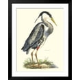 thumbnail image 2 of Art.com Great Blue Heron Art Print by John Selby, Black Frame Wall Art, 32" x 40", 2 of 5
