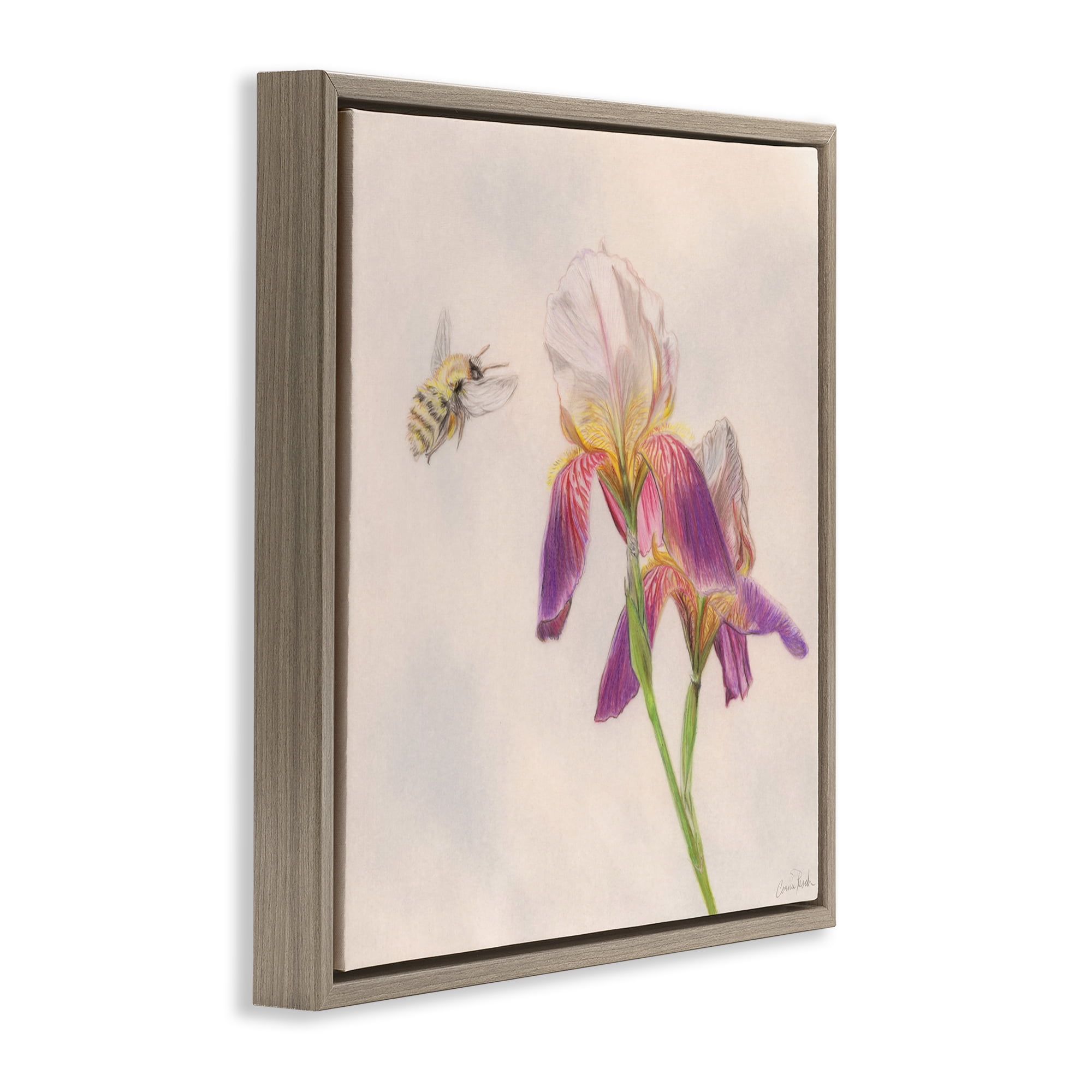 Stupell Industries Spring Offerings Bee Animals & Insects Painting Brown Floater Framed Canvas Art Print Wall Art, 18 x 18