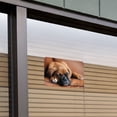 thumbnail image 3 of Boxer Puppy Dog Sleeping in Leather Chair Home Business Office Sign, 3 of 4