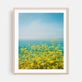 thumbnail image 2 of Yellow Flowers, Big Sur 01 - California Photography Ocean Flowers Coastal Nature Floral Scenic Beach Unframed Wall Art Print 22 x 28 inches, 2 of 13