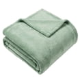 thumbnail image 2 of Regal Living Warm & Cozy Plush Velvet Queen Blanket, Sage Green, 90 x 90, 2 of 9
