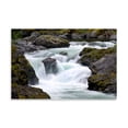 thumbnail image 2 of Gango Home Decor Salmon Cascades by Douglas Taylor (Printed on Paper); One 36x24in Fine Art Paper Giclee Print, 2 of 4
