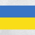 thumbnail image 3 of CafePress - Ukraine Flag Sweatshirt - Kids Sweatshirt, Youth Crew Neck Sweatshirt, 3 of 4