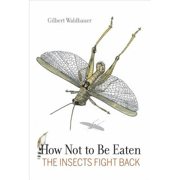 How Not to Be Eaten : The Insects Fight Back (Edition 1) (Hardcover)