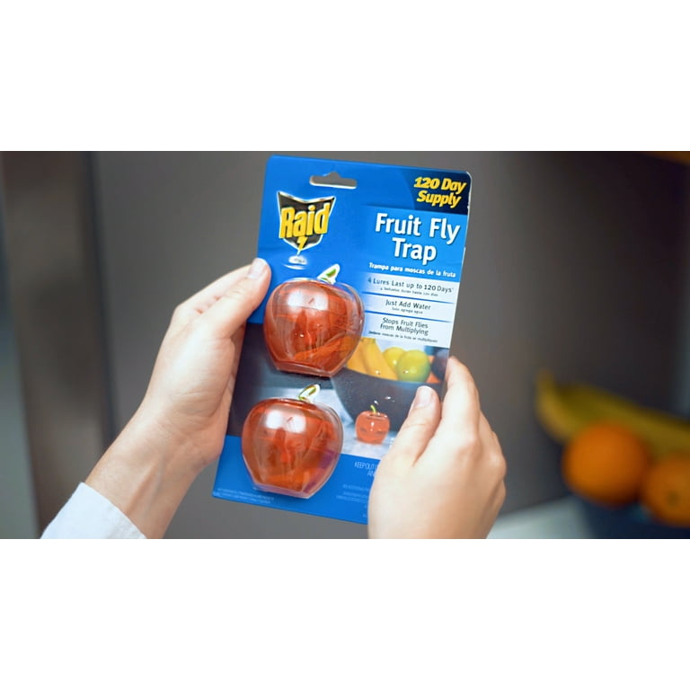 Raid Fruit Fly Traps - 2 Lures + 2 Refills - Effective Indoor Killer & Gnat  Traps - Easy to Use, Safe Food-Based Catcher