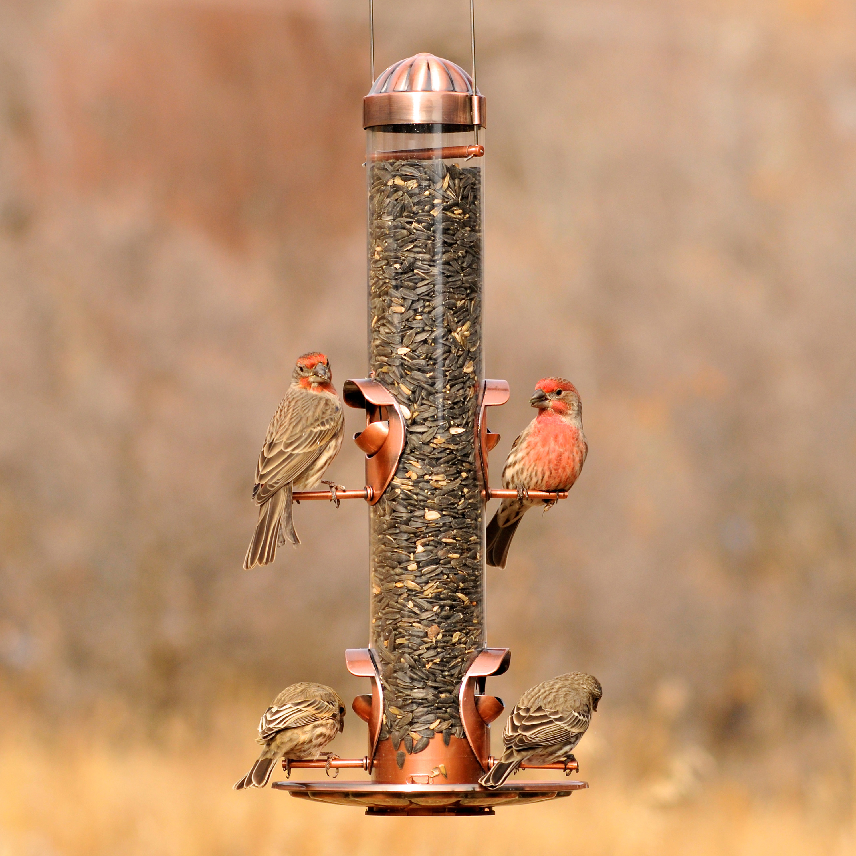 Perky Pet 2 In 1 Wild Bird Feeder Walmart Com