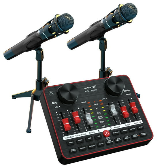 Tenlamp E300 Dual Microphone Audio Mixer Bundle, 2 Condenser Mics, G1 Interface, Black
