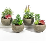 Giftgarden 4 Pack Artificial Mini Succulent Plant, Small Fake Plant Pot Decoration Suitable for Living Room Home Office