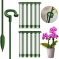 thumbnail image 3 of 10Pcs Potted Plant Support Stick Universal Good Support Lightweight Sunflower Vegetables Stem Glass Fiber Support Stick for Garden, 3 of 8