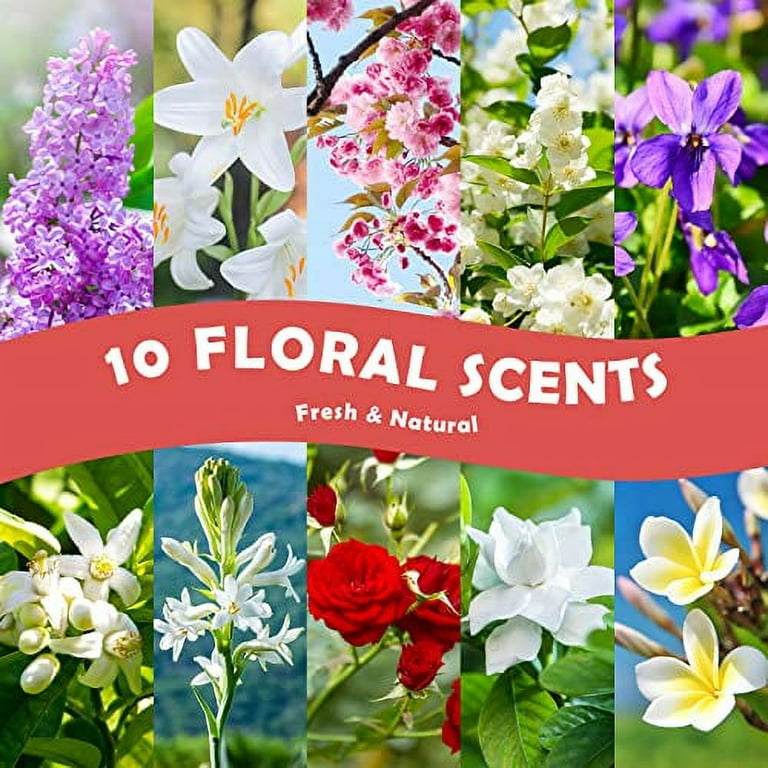 Floral Essential Oils, Holamay Premium Fragrance Oil for Candle Making,  5mlx10, Soap Making Scents - Rose, Jasmine, Neroli, Gardenia, Lilac and  More, Aromatherapy Oils for Diffusers for Home 