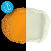 Glow in The Dark Pigment Powder - Neutral and Fluorescent Color for Art Painting, Fine Art, Nail Art Paint, and DIY Crafts - Non-Toxic, Long Lasting 10+ Color Options - Neutral Orange - (1 Kilogram)