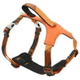 thumbnail image 2 of Pet Life ® 'Geo-prene' 2-in-1 Shock Absorbing Neoprene Padded Reflective Dog Leash and Harness, 2 of 5
