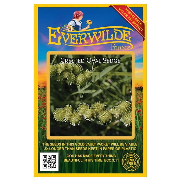 Everwilde Farms - 500 Crested Oval Sedge Native Grass Seeds - Gold Vault Seed Packet