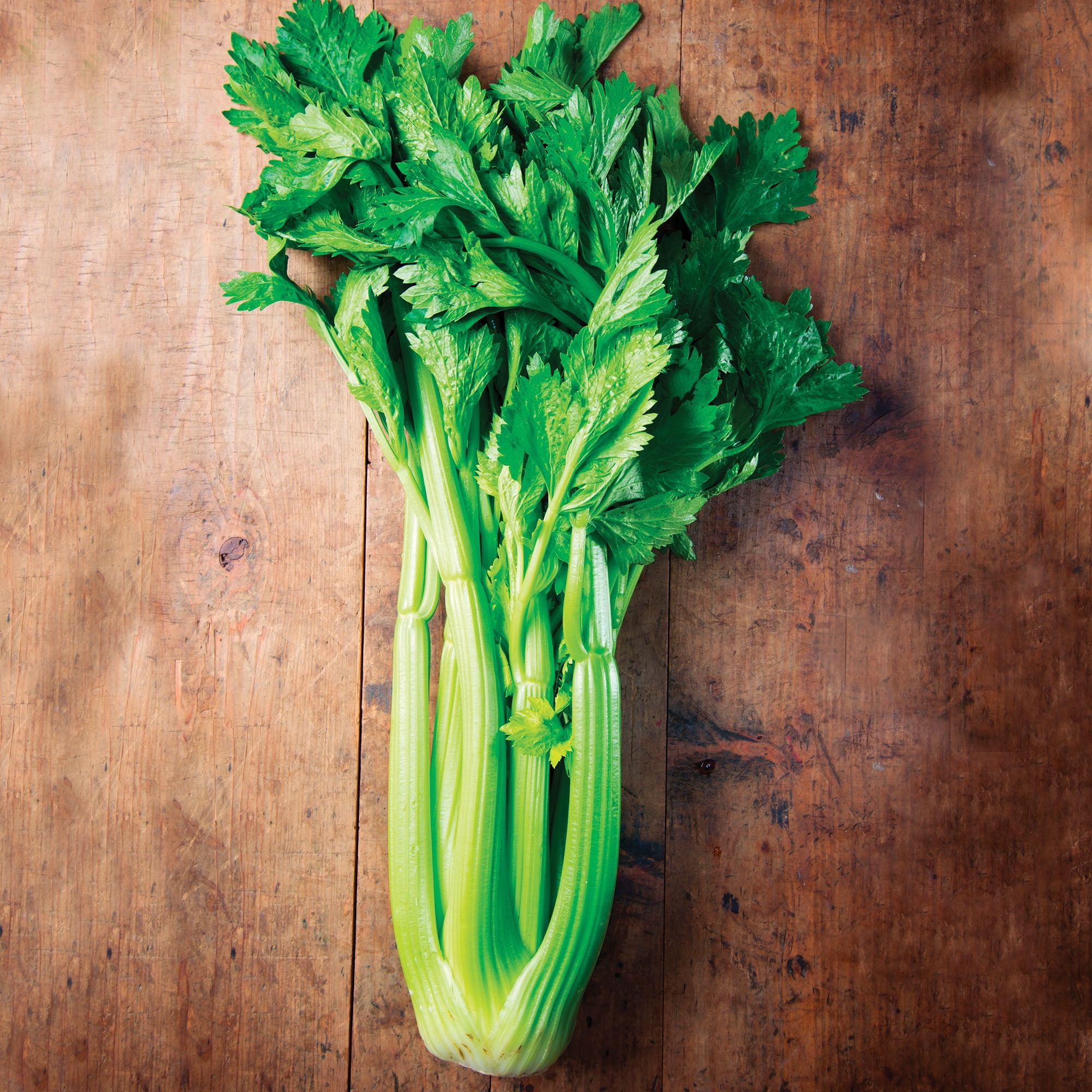 Vegetable Celery Golden Self Blanching Appx 2000 Seeds 
