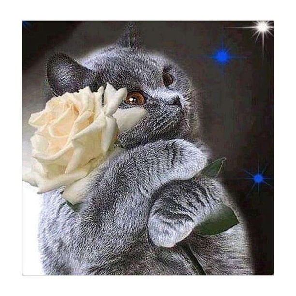 Wdftyju 5D bricolaje completo taladro diamante pintura gato Cruz puntada bordado mosaico Kit Wdftyju 2mu8kz0cn7cu9bp4