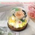 thumbnail image 2 of Eternal Rose Flowers for Decoration, Preserved Flowers in Glass Dome, Forever Champagne Rose Globe with Wooden Base, Unique Dry Flower Present for Loved Ones in Special Occasions, 2 of 5
