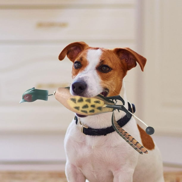 Hunting Decoy Hunting Dog Retriever Trainer Pet Toy Lightweight for Dog Training Pheasant 36X11X9cm