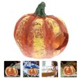 thumbnail image 4 of Cueva decorativa para gambas, resistente al desgaste, con forma de calabaza., 4 of 8