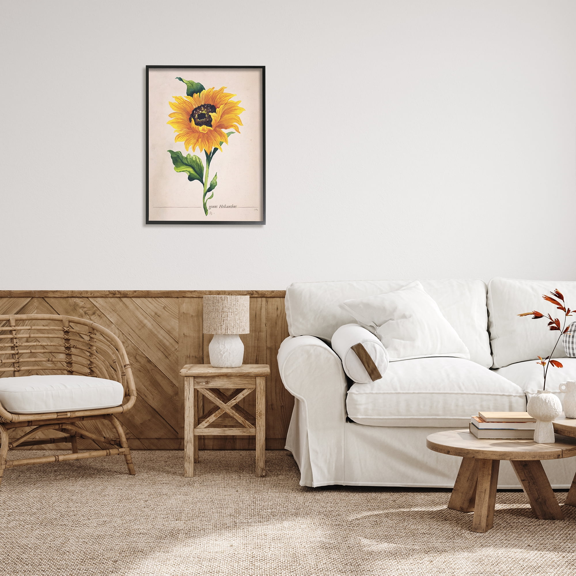 Stupell Industries Single Sunflower Blossom Genus Name Study Page Graphic Art Black Framed Art Print Wall Art, Design by Elizabeth Medley