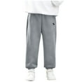 thumbnail image 3 of Piuwrlz Teen Gray Jogger Pants Teen Sweatpants Relaxed Fit Pant Gray Size 9 Years, 3 of 9