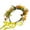 B, variant on Women Girls Artificial Flower Crown-Emulation Green Leaves Camellia Flower Headband Floral Headpiece Hair Wreath for Bridal Maternity Vacation Party Festival Photo Prop