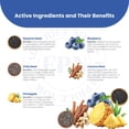 thumbnail image 3 of FPN Vegan Dog Treats for Immunity, 7 oz Grain-Free Biscuits with Blueberry, Chia & Pineapple, Superfood Chews for All Dog Breeds, 3 of 6