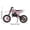 #3 Pink, variant on Kids Gas Powered Dirt Bike, 49cc 2-Stroke Mini Motorcycle with 10 Inch Off-Road Tires, Front Rear Disc Brakes, Easy Pull Start, Max Load 330 LBS for Ages 6  (Blue)