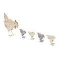 thumbnail image 3 of Lila's Dual-Tone Tabletop Metal Farmhouse Henhouse Set of 5, 3 of 6