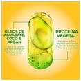 thumbnail image 4 of Shampoo Garnier Fructis recarga nutritiva 350 ml, 4 of 4