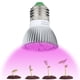 thumbnail image 3 of Bombilla LED para cultivo de plantas, base E27, bombillas para cultivo de plantas de interior de 28W, lámpara para cultivo de verduras, invernadero e hidropónico, 3 of 8