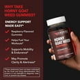 thumbnail image 6 of Havasu Nutrition Horny Goat Weed for Men, Vitamin B12 Energy Support Gummies, Raspberry, 30 Count, 6 of 8