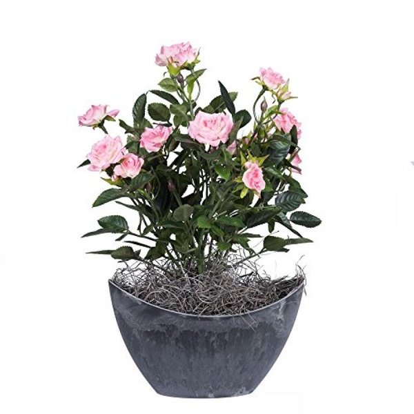 Vickerman 13.5" Rose Clair Mini Diamant Rosier dans un Récipient Ovale en Plastique Dur