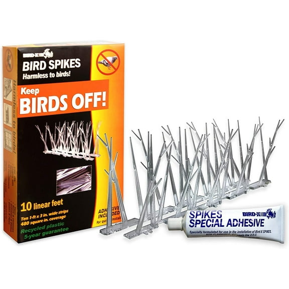 Bird-X Plastic Polycarbonate Bird Spikes Kit with Adhesive Glue, Covers 10 feet