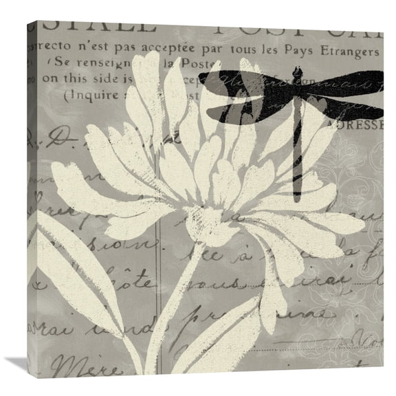 Global Gallery Daphne Brissonnet 'Natural Prints II' Canvas Wall Art