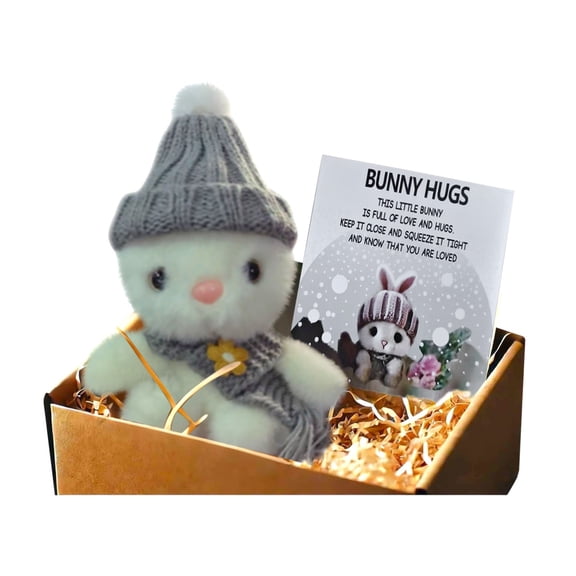 Mini Bunny Hug Cute Easter Gift Plush Bunny in a Box Hugs Positive Bunny Stuffed Animal Rabbit Soft Floppy Easter Ideas Bunnies Basket Stuffers Doll Emotional Support Inspirational Gifts